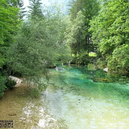 Daire Apartments Lake Bohinj *