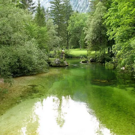 Bohinj Apartment *