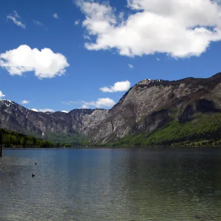 Apartments Lake Bohinj Daire Bohinj