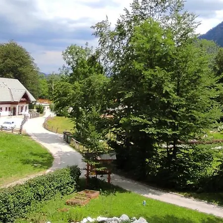 Lejlighed Apartments Lake Bohinj Bohinj