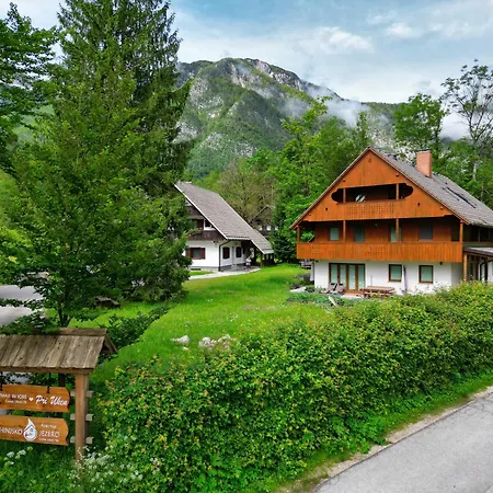 Apartment Bohinj
