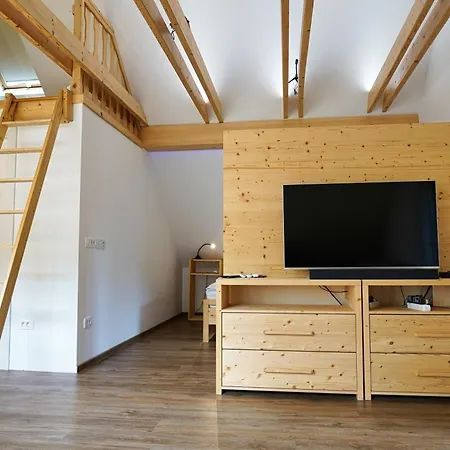 Apartments Lake Bohinj Bohinj