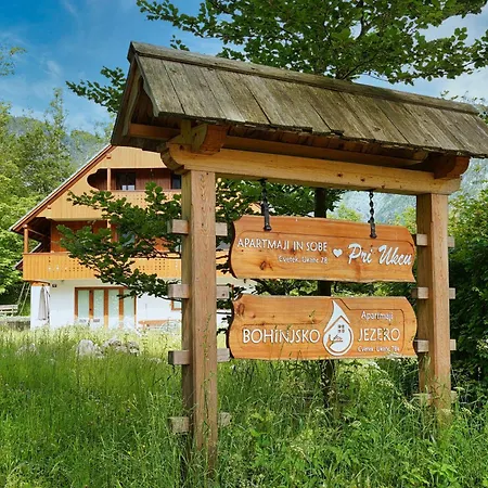 Bohinj Apartment Ukanc