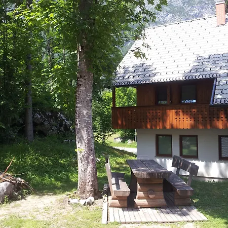 Daire Apartments Lake Bohinj *
