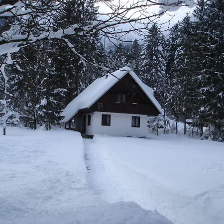 Daire Apartments Lake Bohinj