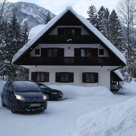 Apartments Lake Bohinj Lejlighed Bohinj
