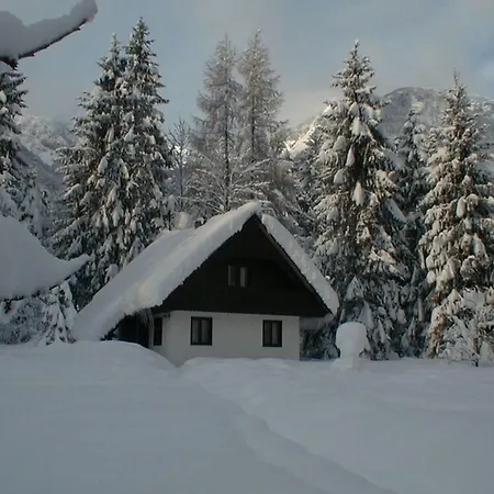 Apartments Lake Bohinj 아파트 *
