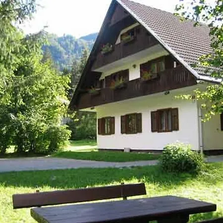 Daire Apartments Lake Bohinj