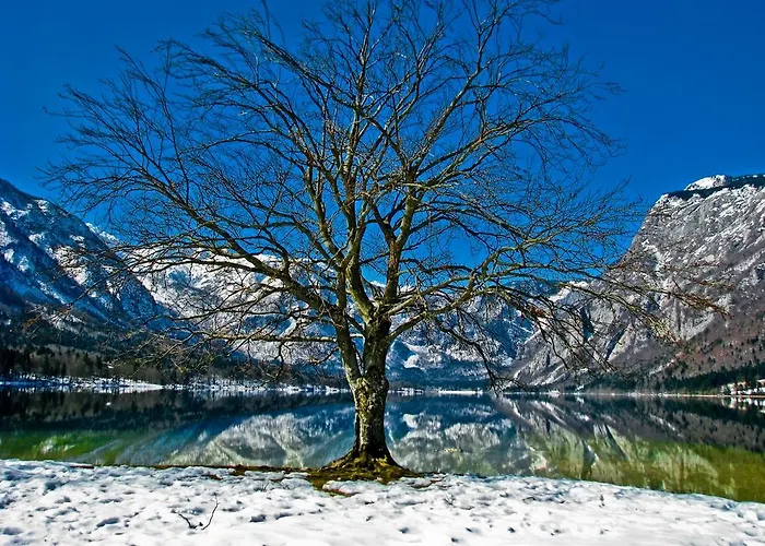 Lejlighed Apartments Lake Bohinj Bohinj