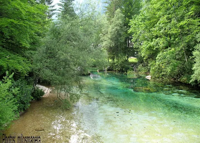 Lejlighed Apartments Lake Bohinj *