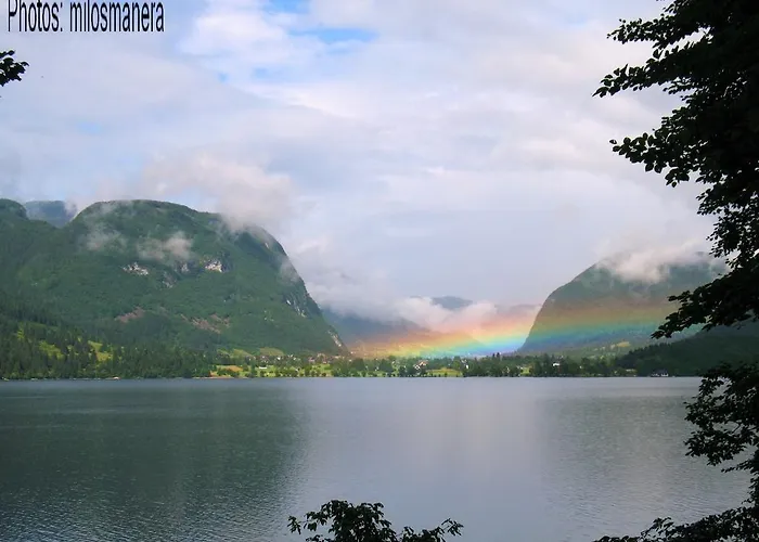 Apartments Lake Bohinj Lejlighed *