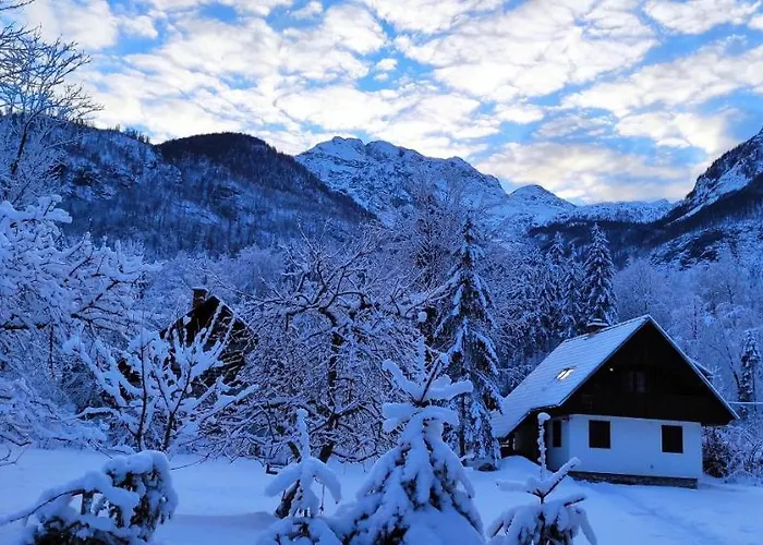 Apartments Lake Bohinj