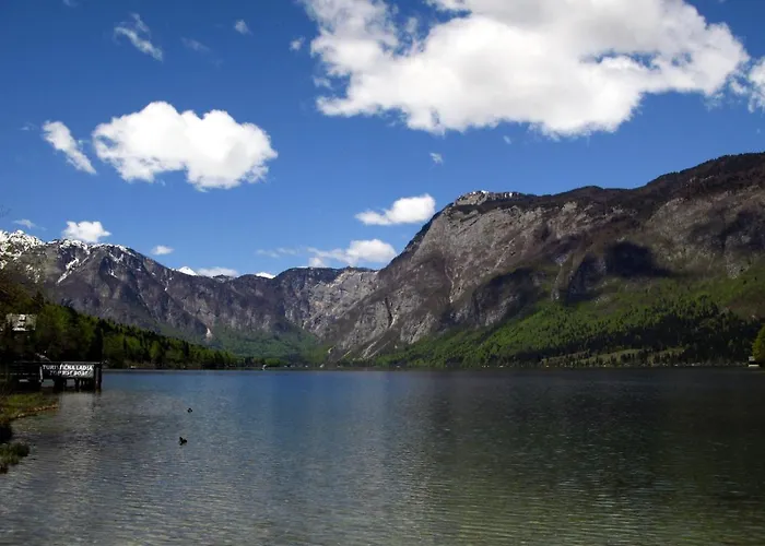 Apartments Lake Bohinj Apartament Bohinj