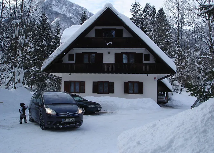 Apartments Lake Bohinj Lejlighed Bohinj