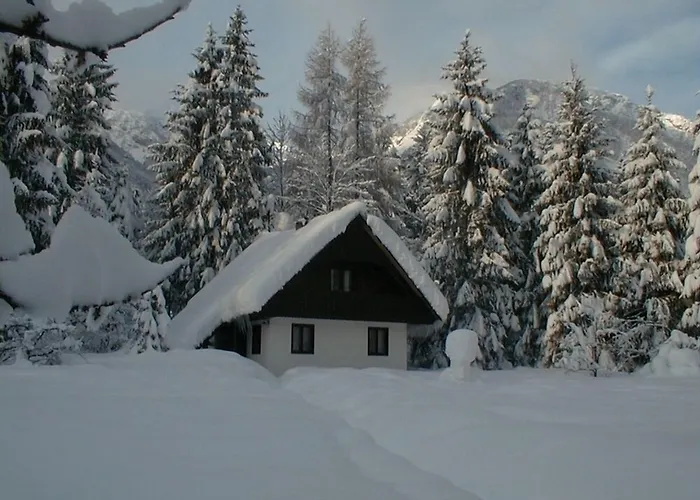 Apartments Lake Bohinj Lejlighed *